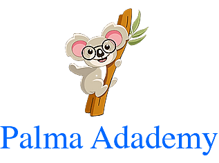 Palma Academy